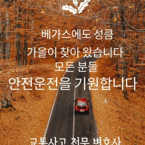 가을이 왔습니다