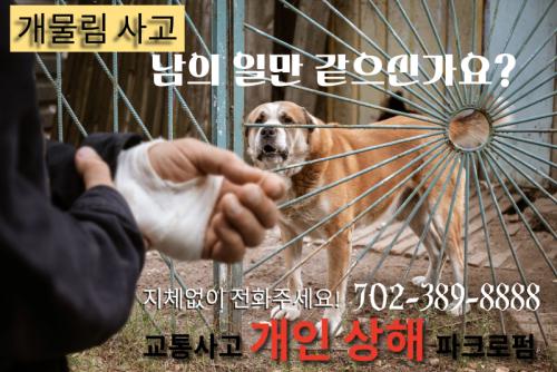 [교통사고 라스베가스] 우리 개는 안 물어요~ 생각보다 많은 개물림 사고